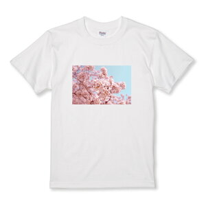 Tシャツ キッズ こどもサイズ 桜 サクラ さくら 花 花吹雪 春 風景 写真 ピンク おしゃれ 綺麗 キレイ きれい サイズ 100 110 120 130 140 150 半袖 綿 100% コットン 白Tシャツ 黒Tシャツ ホワイト ブラ