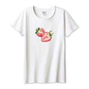 TVc fB[X K[Y C`S   Xgx[ 킢 K[[  rbOvg TCY M L   100% Rbg lC fB[XTCY  TVc TVc z