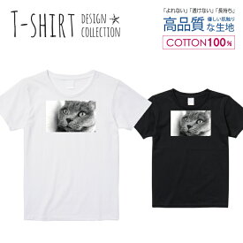 Tシャツ レディース ガールズ サイズ M L 半袖 綿 100% 透けない 長持ち プリント コットン 人気 白Tシャツ 黒 ホワイト ブラック ブラック ネコ ブリティッシュショートヘア 写真 モノクロ グレー 猫 プリント おしゃれ かわいい