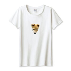 TVc fB[X K[Y Č ΂ Ck   e  Aj} ʐ^  킢 TCY M L   100% Rbg lC fB[XTCY  TVc TVc z