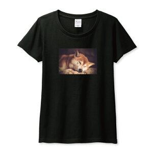 TVc fB[X K[Y   񂿂 Č ΂ ΂   킢 ʔ TCY M L   100% Rbg lC fB[XTCY  TVc TVc z