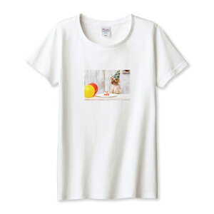 TVc fB[X K[Y   񂿂 [NV[eA p[eB a j P[L  킢 TCY M L   100% Rbg lC fB[XTCY  TVc