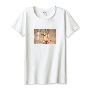 TVc fB[X K[Y Č VoCk ΂  ΂ 邢 ʐ^ 킢  JCC TCY M L   100% Rbg lC fB[XTCY  TVc TVc z