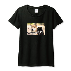 Tシャツ レディース ガールズ 柴犬 シバイヌ しばいぬ 犬 子犬 黒柴 クロシバ くろしば 写真 かわいい カワイイ サイズ M L 半袖 綿 100% コットン 人気 レディースサイズ 女性 白Tシャツ 黒Tシャ