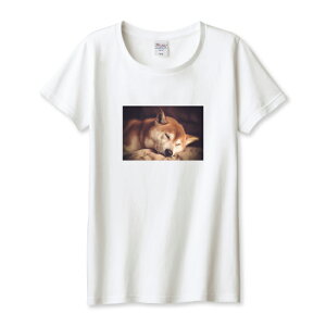 TVc fB[X K[Y Č VoCk ΂  ΂ 邢 ʐ^ 킢  JCC TCY M L   100% Rbg lC fB[XTCY  TVc TVc z