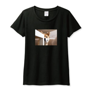 TVc fB[X K[Y Č VoCk ΂  ΂ 邢 ʐ^ 킢  JCC TCY M L   100% Rbg lC fB[XTCY  TVc TVc z