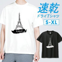 新品SALOMON PARIS エッフェル塔 Tシャツメンズ