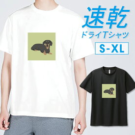 Tシャツ ドライTシャツ 速乾 吸汗 スポーツ 部活 トレーニング ジム UVカット メンズ ユニセックス わんちゃん ミニチュアダックス ダックスフント 犬 いぬ イラスト 韓国 おしゃれ かわいい サイズ S M L LL XL 半袖 ポリエステル 人気 白 黒 ホワイト ブラック