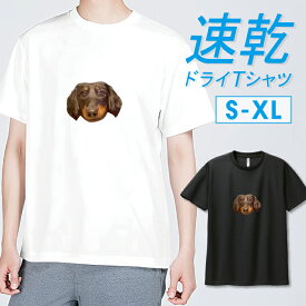 Tシャツ ドライTシャツ 速乾 吸汗 スポーツ 部活 トレーニング ジム UVカット メンズ ユニセックス イヌ 犬 いぬ ダックスフント 動物 アニマル 写真 グラフィック おしゃれ かわいい サイズ S M L LL XL 半袖 ポリエステル 人気 白 黒 ホワイト ブラック
