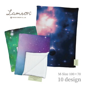 LAMRON  uPbg MTCY (100×70) F MNV[  X^[   ۂۂ Ђ| tl l h ێ  g CeA t@ubN NX}