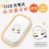 ＼30%OFFクーポン配布 セール／ USBエコカイロ 充電カイロ 充電式 電気カイロ 電子カイロ カイロ かいろ …