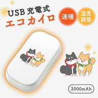 ＼半額 50％OFF スーパーセール／ USBエコカイロ 充電カイロ 充電式 電気カイロ 電子カイロ カイロ かい…