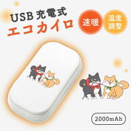 ＼半額 50％OFF スーパーセール／ USBエコカイロ 充電カイロ 充電式 電気カイロ 電子カイロ カイロ かい…