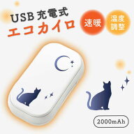 ＼半額 50％OFF スーパーセール／ USBエコカイロ 充電カイロ 充電式 電気カイロ 電子カイロ カイロ かい…