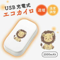 ＼半額 50％OFF スーパーセール／ USBエコカイロ 充電カイロ 充電式 電気カイロ 電子カイロ カイロ かい…