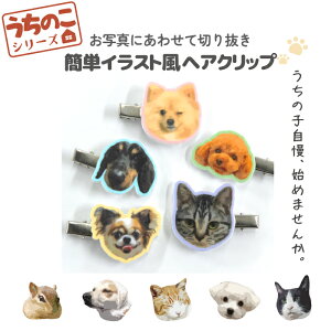 30%N[|ubNtCf[ ̂V[Y CXg ʐ^  L IWi wANbv wAANZT[ AN IV 킢 I[_[Ch v[g  