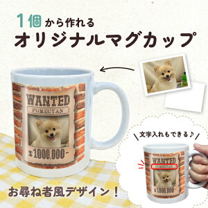 ʐ^ꁕ O bZ[W }OJbv v[g 蕨   IWi fUC EɂЂƂ   ̓ ̓ ȒP j o  