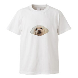 動物 アニマル 写真 イヌ 犬 いぬ ポメプー おしゃれ かわいい デザイン Tシャツ メンズ サイズ S M L LL XL 半袖 綿 100% 透けない 長持ち プリント コットン ゆったり 白Tシャツ 黒 ホワイト ブラック