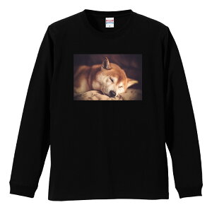 OX[uTVc ut Y jZbNX   񂿂 Č ΂ ΂   킢 ʔ S M L LL XL  eB[ T  100% vgtVc Rb