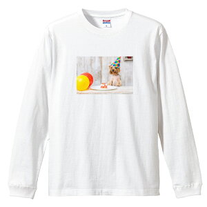 OX[uTVc ut Y jZbNX  񂿂 [NV[eA p[eB a j P[L 킢 S M L LL XL  eB[ T  100% vgtVc R