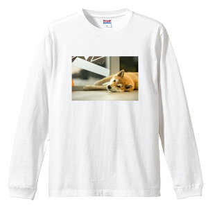 ロングスリーブTシャツ リブ付き メンズ ユニセックス 柴犬 シバイヌ しばいぬ 犬 しばけん ゆるい 写真 かわいい 可愛い カワイイ S M L LL XL 長袖 ロンティー ロンT 綿 100% プリントtシャツ コ