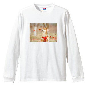 ロングスリーブTシャツ リブ付き メンズ ユニセックス 柴犬 シバイヌ しばいぬ 犬 しばけん ゆるい 写真 かわいい 可愛い カワイイ S M L LL XL 長袖 ロンティー ロンT 綿 100% プリントtシャツ コ