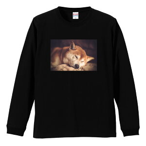 OX[uTVc ut Y jZbNX Č VoCk ΂  ΂ 邢 ʐ^ 킢  JCC S M L LL XL  eB[ T  100% vgtVc R