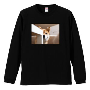 OX[uTVc ut Y jZbNX Č VoCk ΂  ΂ 邢 ʐ^ 킢  JCC S M L LL XL  eB[ T  100% vgtVc R