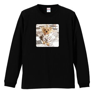 OX[uTVc ut Y jZbNX [NV[eA [L[ x[W   Ck  킢 ʐ^ S M L LL XL  eB[ T  100% vgtVc R