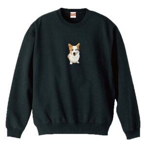 z 50%OFF X[p[Z[ XEFbg g[i[ jZbNX Y fB[X Y jp R[M[  Ck ʐ^ J[  킢  100 Rbg  傫