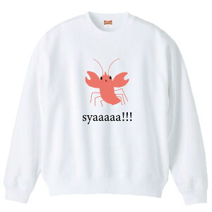 _30%OFFN[|zz^ XEFbg g[i[ jZbNX Y fB[X Y jp UKj  Њd Vv G{ CXg q  킢  100 Rbg 