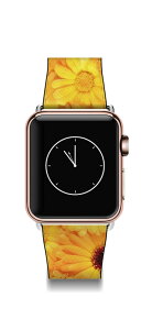 Apple watch oh xg ANZT[ AbvEHb` EHb`(v)p IvV  38mm 42mm Ot WJ[EfUC l  30 40 Mtg ԕ tHg A[g K