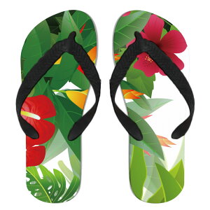 lC FN₩ r[`T_ r[T T}[   v[ O C  AEghA uh fUCi[ Xbp t[ fUC Ђ܂ ĂƂ RXX 厩R iF 