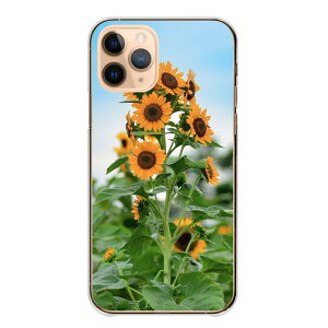 �_���z�N�[�|���z�z �Z�[���^ iPhone 17 Pro MAX iPhone17ProMAX �P�[�X �J�o�[ �A�C�t�H�� �X�}�z�P�[�X �n�[�h�P�[�X �q�}���� ������ ���� �Ԕ� �t�����[ �� �ʐ^ �t�H�g ���ꂢ �Y�� �L���C ��l �n