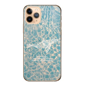 AQUOS wish2 SH-51C A204SH P[X Jo[ ANIXEBbV2 X}zP[X n[hP[X ~  NW nC   nC    r[` gCo n[hJo[ X}zJo