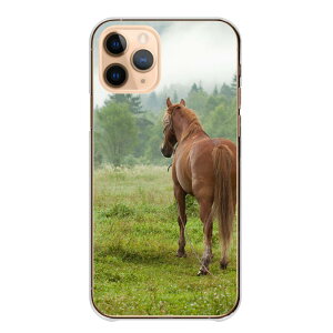 Redmi Note 13 Pro 5G Redmi 12 5G P[X n[h bh~[m[g11 Redmi Note 11 Pro Redmi Note 10 Pro Note10 P[X Jo[ X}zP[X n[hP[X n n n ʐ^ E} 