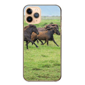 Redmi Note 13 Pro 5G Redmi 12 5G �P�[�X �n�[�h ���b�h�~�[�m�[�g11 Redmi Note 11 Pro Redmi Note 10 Pro Note10 �P�[�X �J�o�[ �X�}�z�P�[�X �n�[�h�P�[�X �n ���n ��n �ʐ^ �E�} �������