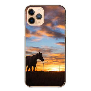 �_30%�I�t�����N�[�|���z�z�^ iPhone 17 Pro iPhone17Pro �P�[�X �J�o�[ �A�C�t�H��17�v�� �X�}�z�P�[�X �n�[�h�P�[�X �n ���n ��n �ʐ^ �E�} ������� �J�b�R�C�C ���������� �T���u���b�g �ʐ^ �n