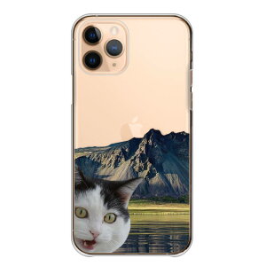 _|Cg10{I^ HUAWEI nova 2 nova2 P[X Jo[ t@[EFC mo2 X}zP[X n[hP[X L lR R i ʐ^ ʔ 낢 svc l^ P[X NAP[X n