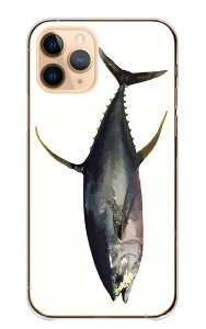 Galaxy A55 5G SC-52E P[X Jo[ MNV[ A55 5G X}zP[X n[hP[X  tBbVO މ  ނ t Ln_}O GT AICJ  q}T q n[hJo[ X}zJo