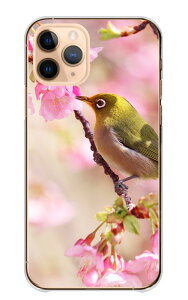 iPhone 17 Pro P[X ACtH17v iPhone17Pro Jo[ Apple Abv X}zP[X n[hP[X W ߂ t   ڔ  i 쒹 ʐ^ { Y LC ꂢ 킢 n[h X