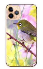 スマホケース 全機種対応 ハードケース iPhone15 ケース pro max mini plus iPhone14 13 SE(第3世代) 対応 メジロ めじろ 鳥 小鳥 花 風景 写真 かわいい Xperia Google Pixel OPPO AQUO　携帯ケース プラスチックケース