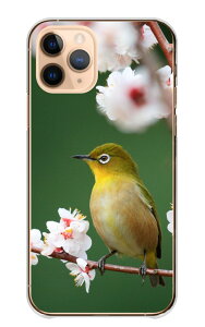 _zN[|zz^ Redmi Note 13 Pro P[X bh~[m[g13v Jo[ X}zP[X n[hP[X W ߂ t   ڔ  i 쒹 ʐ^ { Y LC ꂢ 킢