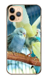 Google Pixel 6a P[X O[OsNZ6A Jo[ X}zP[X n[hP[X CR ZLZCCR RUNCR  ʐ^   킢  Y LC ꂢ n[h X}zJo[ 