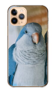 iPhone 17 ProMAX P[X ACtH17v}bNX Jo[ Apple Abv X}zP[X n[hP[X CR ZLZCCR RUNCR  ʐ^   킢  Y LC ꂢ 