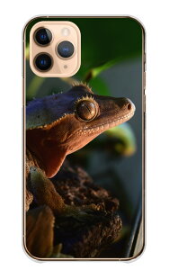 Google Pixel 9a P[X O[OsNZ9a Jo[ X}zP[X n[hP[X  ঒ IEJ~Jh O[COAi gJQ JG E[p[[p[ ʐ^ n[h X}zJo