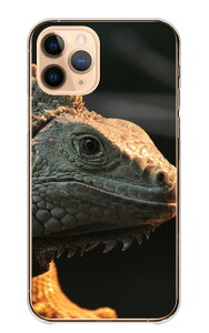 _30%OFFzz^ iPhone 17 Pro P[X ACtH17v iPhone17Pro Jo[ Apple Abv X}zP[X n[hP[X  ঒ IEJ~Jh O[COAi gJQ JG E[p