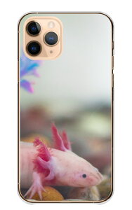 Redmi Note 11 Pro 5G ケース レドミノート11プロ カバー スマホケース ハードケース 両生類 爬虫類 オウカンミカドヤモリ グリーンイグアナ トカゲ カエル ウーパールーパー 写真 ハード スマホカ