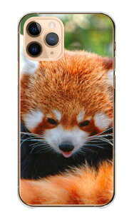 iPhone 17 Pro ケース アイフォン17プロ iPhone17Pro カバー Apple アップル スマホケース ハードケース レッサーパンダ 動物 アニマル 可愛い かわいい 自然 フサフサ もふもふ 写真 動物園 ハード ス
