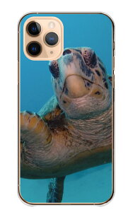 Redmi Note 13 Pro ケース レッドミーノート13プロ カバー スマホケース ハードケース 亀 カメ かめ 海亀 ホヌ ウミガメ ダイビング 海の生き物 かわいい 綺麗 写真 ブルー ハード スマホカバー 携